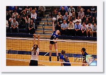 vs Manhattan * (226 Slides)